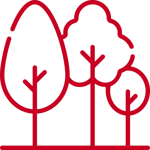 New trees planted New trees planted